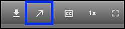 launch panopto viewer button